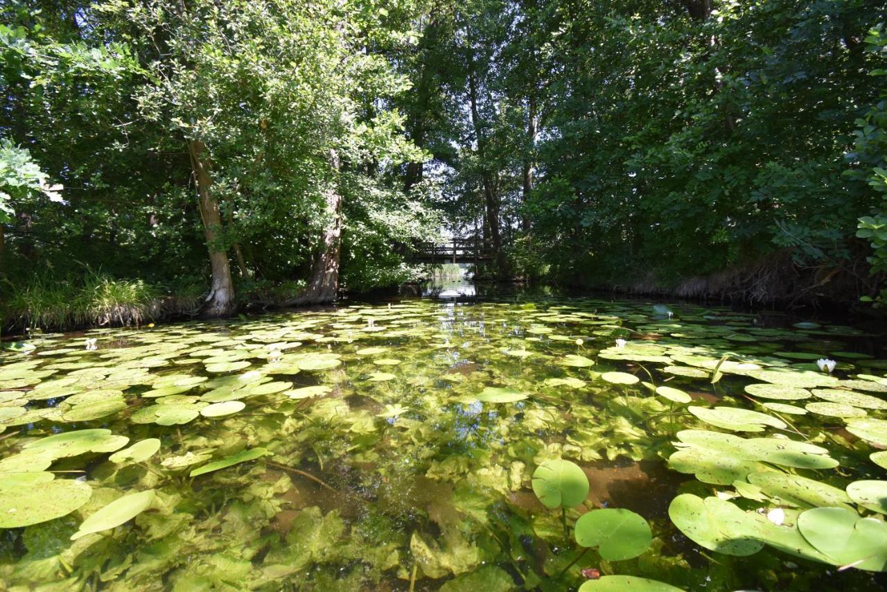 Ferienhaus-See-Sauna-Kamin-Hund Mit E-Ladestation Krakow am See Bagian luar foto